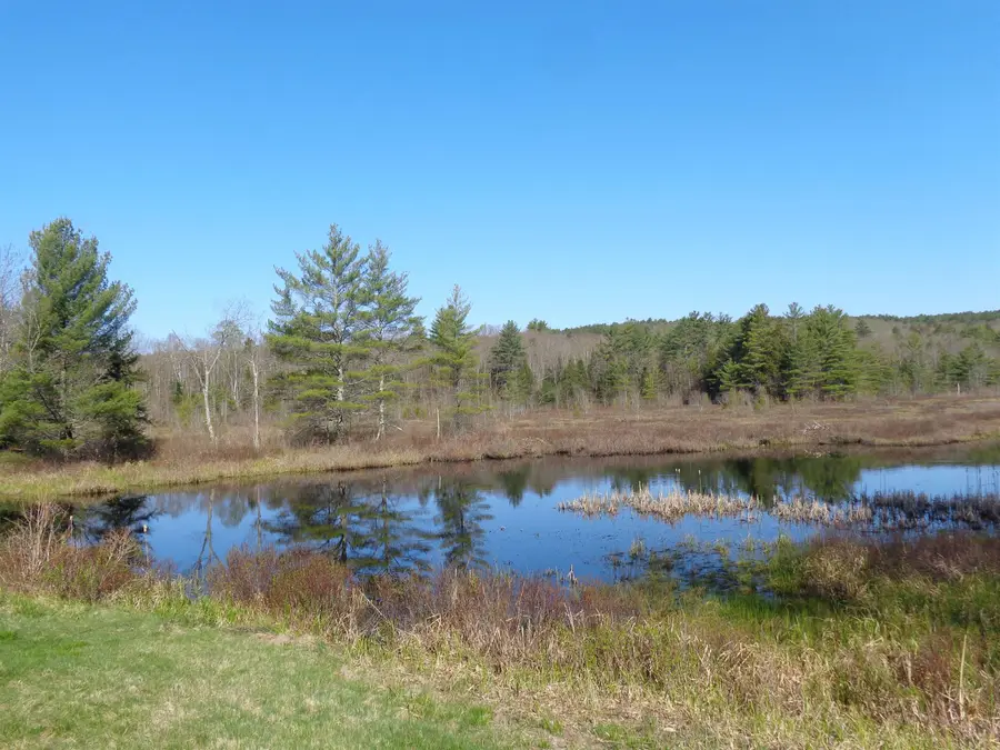 30 Phelps Lane #1, Danbury, NH 03230 - Image #2