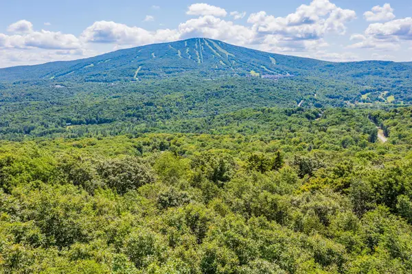 4.1 Pearl Buck Drive, Winhall, VT 05340