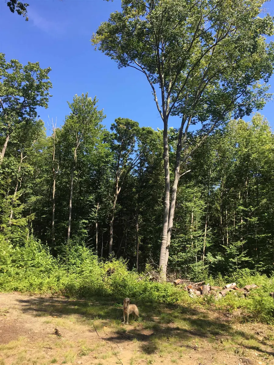 Lot 2 South Pine Banks Road, Putney, VT 05346 - Image #2