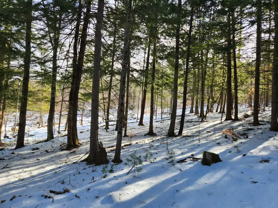 1 Munsey Hill Road #123-10-7, Gilmanton, NH 03237 - Image #3