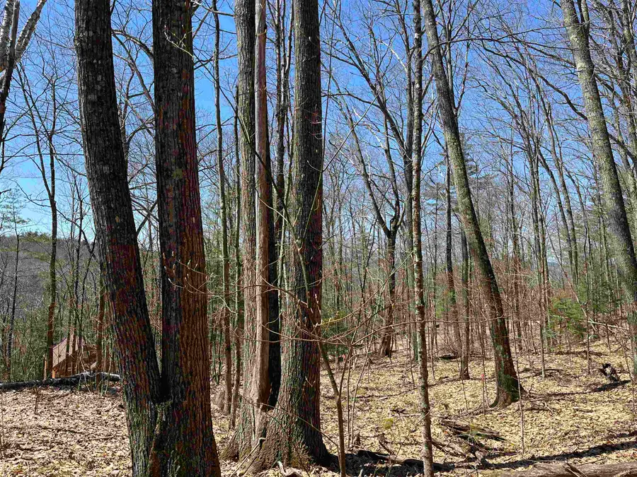 H16 Tobey Road, Campton, NH 03223 - Image #2