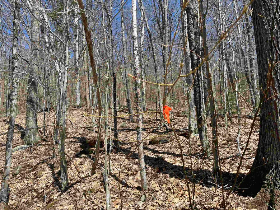 H16 Tobey Road, Campton, NH 03223 - Image #3