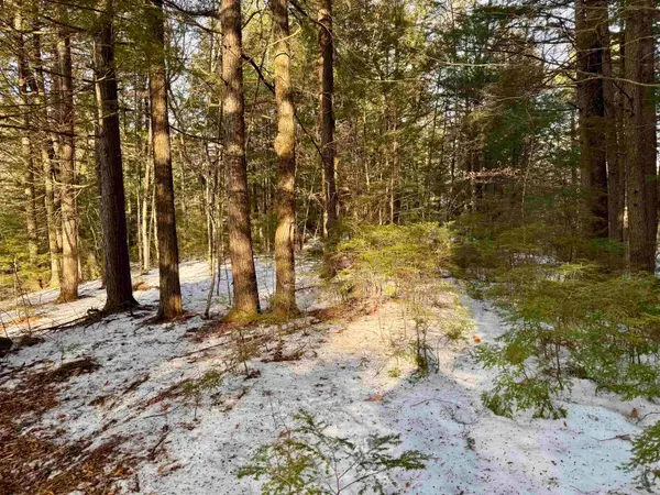 Map 9 Lot 87 Mary Rowe Drive, Hillsborough, NH 03244