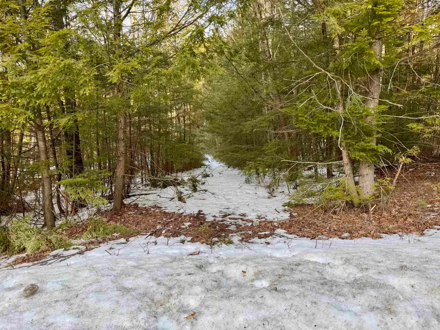 Map 9 Lot 87 Mary Rowe Drive, Hillsborough, NH 03244 - Image #2