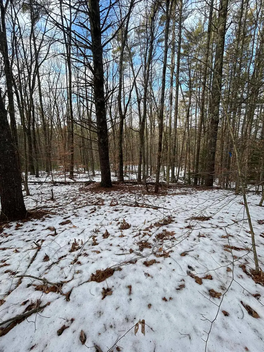 80 Center Hill Road, Epsom, NH 03234 - Image #3