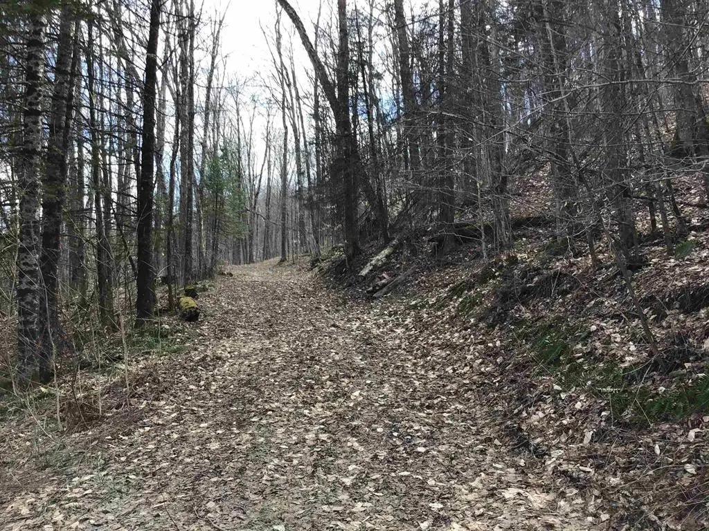 00 Williamstown Road, Washington, VT 05675 - Image #1