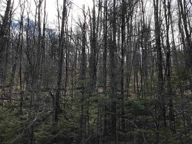 00 Williamstown Road, Washington, VT 05675 - Image #2