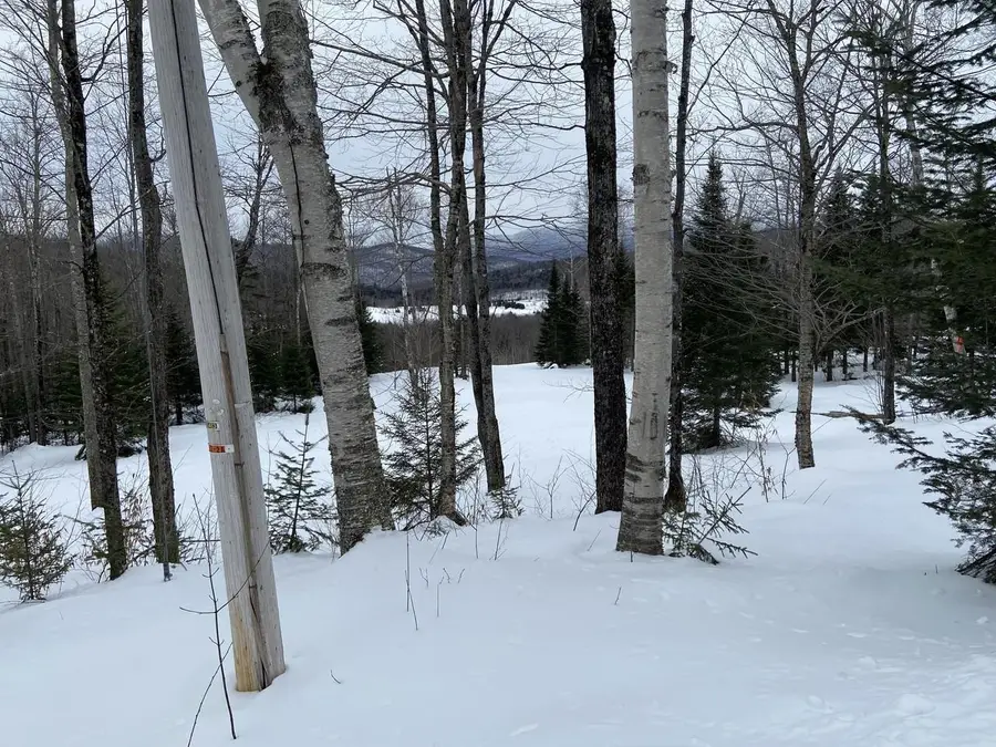 48 Alberts Lane, Warren, VT 05674 - Image #3