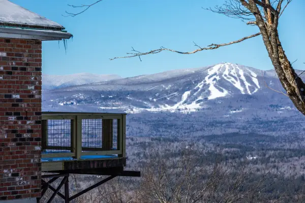 57 Pearl Buck Drive #33, Winhall, VT 05340