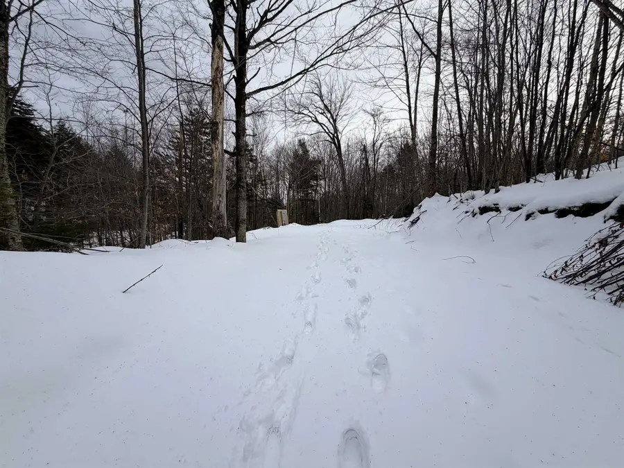 469 Williams Road, Chester, VT 05143 - Image #2