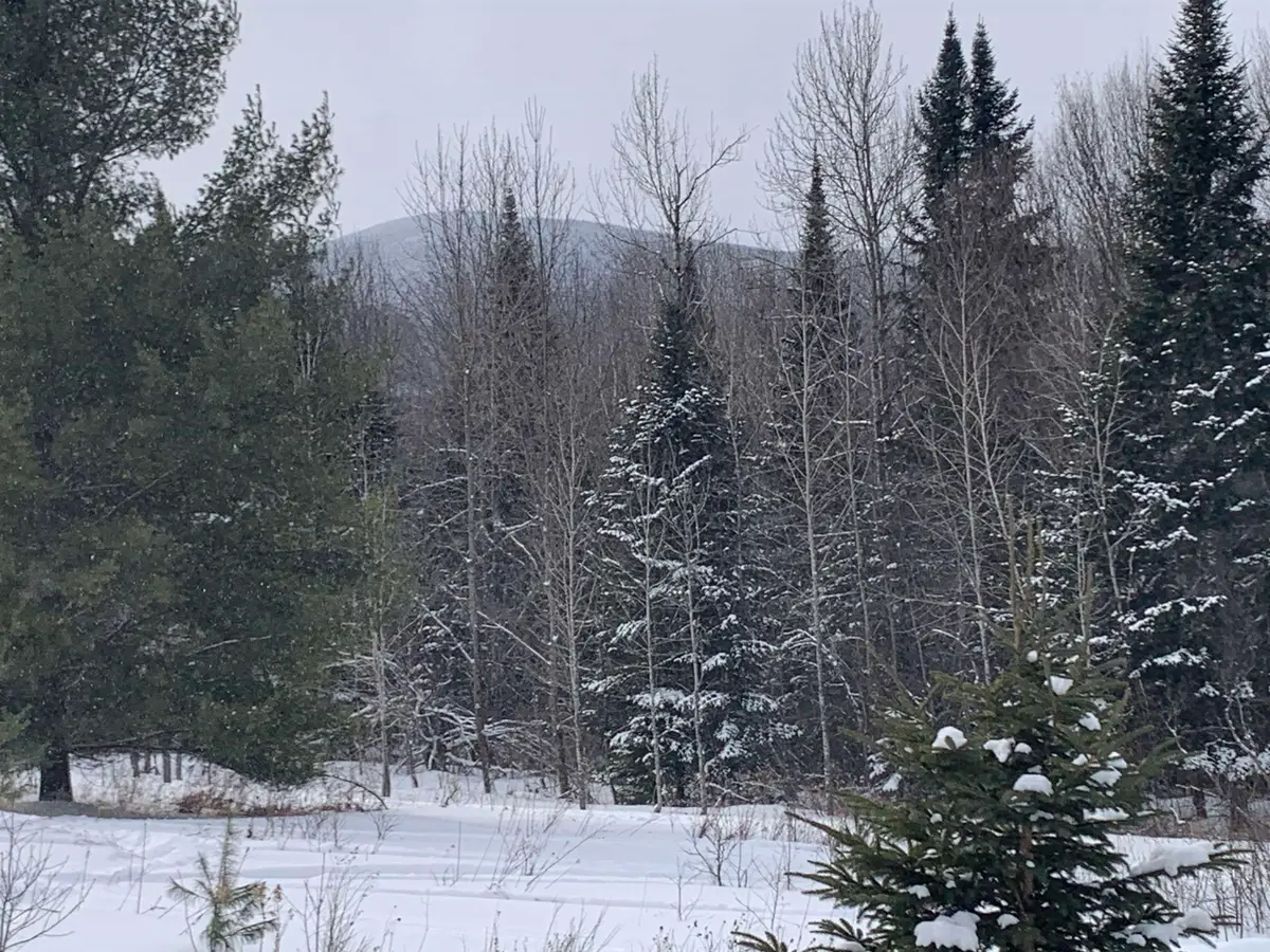 TBD Oakes Road, Columbia, NH 03576 - Image #1