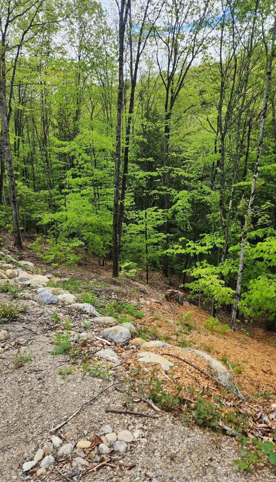 Moulton Road, Freedom, NH 03836 - Image #2