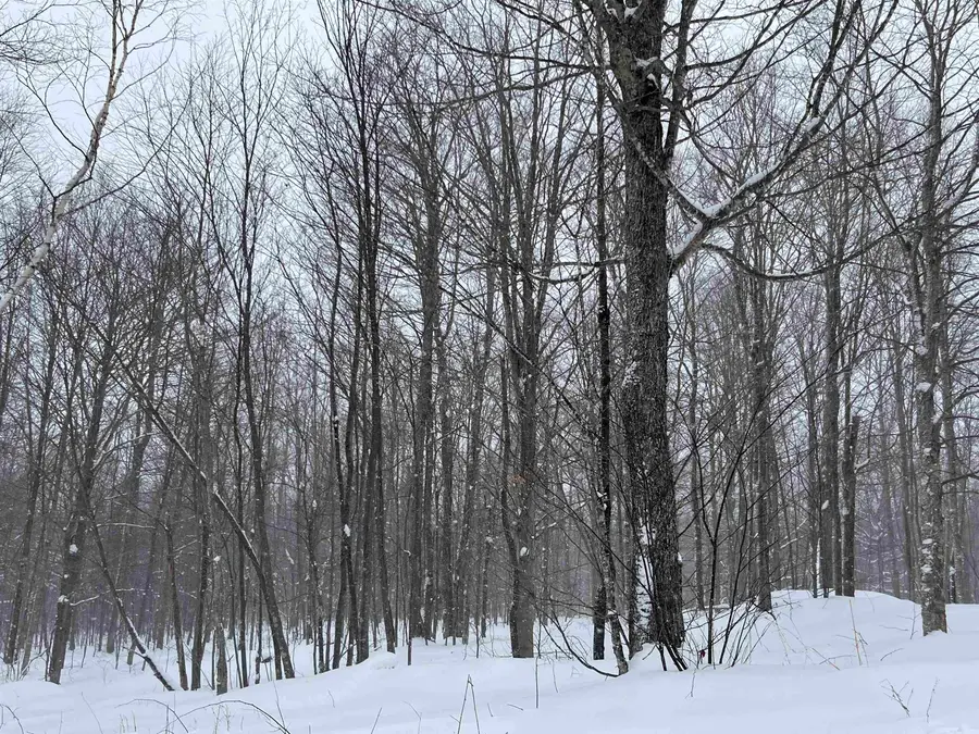 2924 New Duck Pond Road, Sheffield, VT 05866 - Image #2