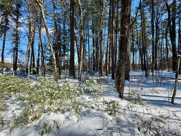 00 Swans Falls Road #Lot A, Fryeburg, ME 04037