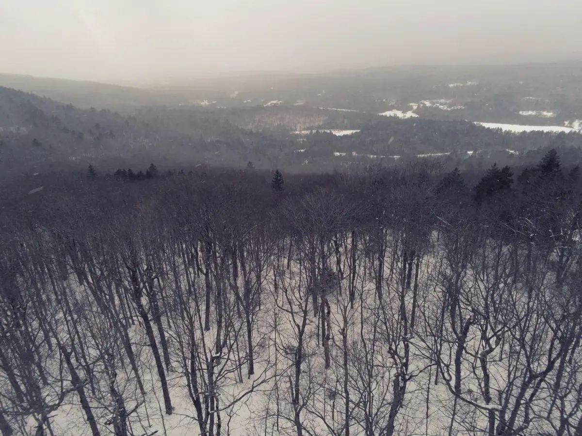 0 Earls Lane, Lempster, NH 03605 - Image #1