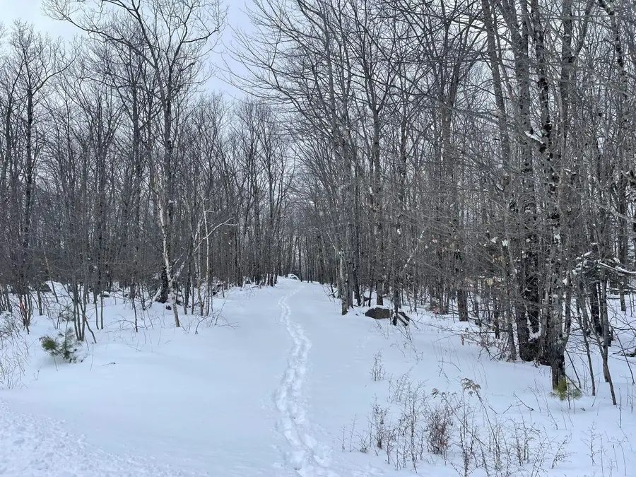 0 Earls Lane, Lempster, NH 03605 - Image #3