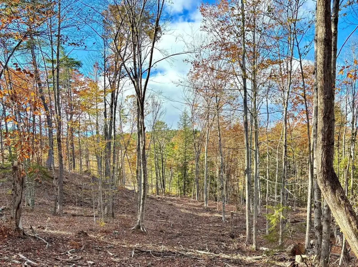 222-3 Fisher Road, Deering, NH 03244 - Image #1