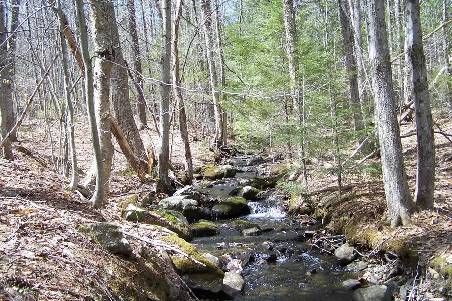 222-3 Fisher Road, Deering, NH 03244 - Image #2