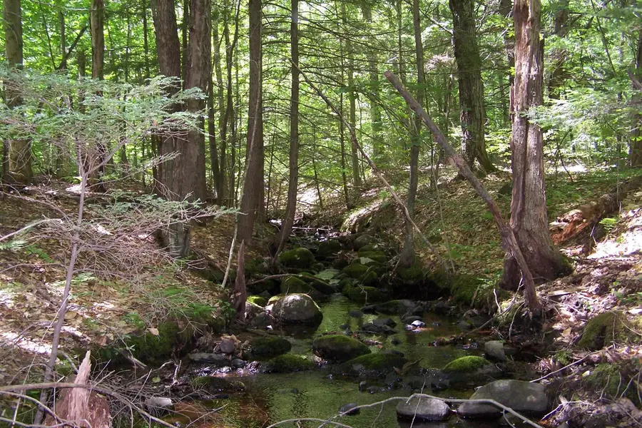 222-3 Fisher Road, Deering, NH 03244 - Image #3