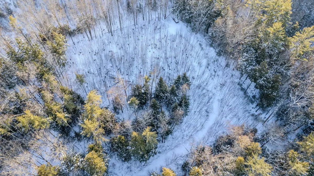 00 Route 123 Road, Alstead, NH 03602 - Image #1