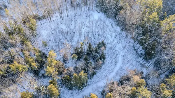 00 Route 123 Road, Alstead, NH 03602