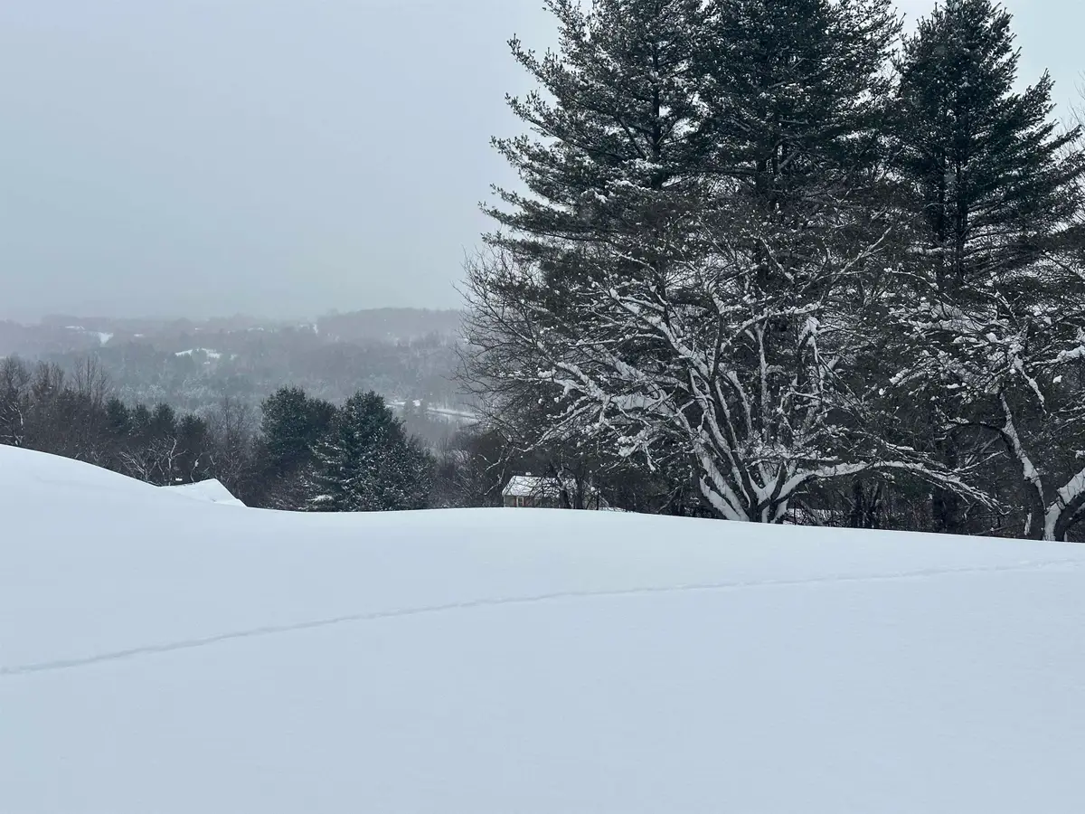 46 Silver Circle #2, South Barre, VT 05641 - Image #1