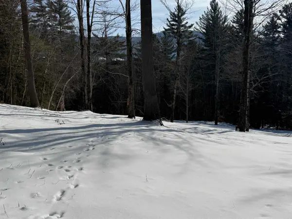 00 Brook Road, Warren, VT 05674