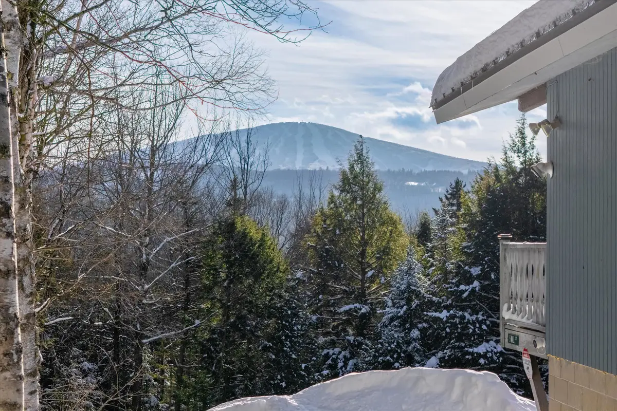 5 Wall Street, Winhall, VT 05340 - Image #1