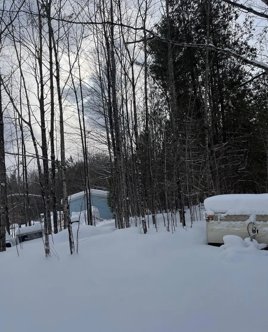 1847 Wheelock Road, Sutton, VT 05867 - Image #2