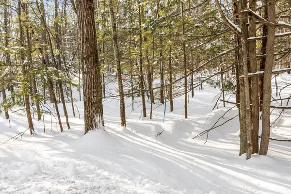 0-3 Kendall Hill Road #5-56-3, Mont Vernon, NH 03057