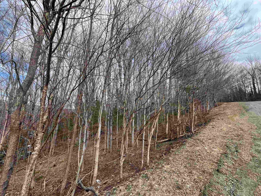 9 Barber Road, Dover, VT 05356 - Image #2