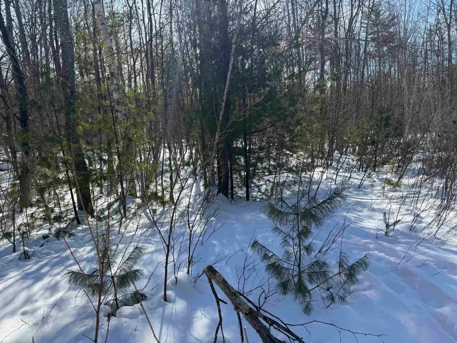 0 White Mountain Highway, Wakefield, NH 03872 - #3