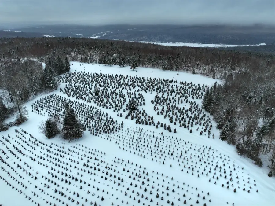 00 Jordan Hill Road, Columbia, NH 03590 - #3