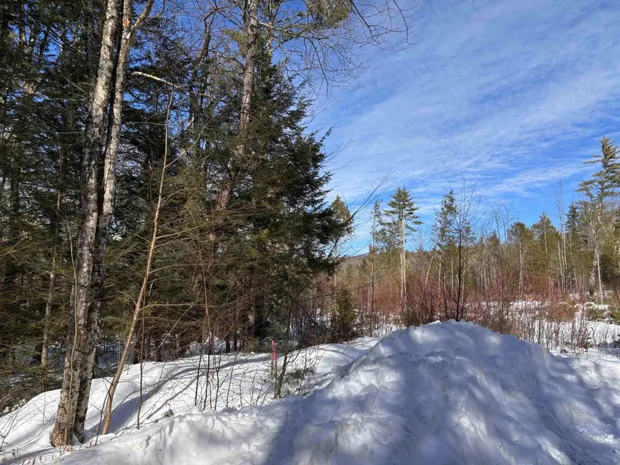 M409 L66-2 Old Turnpike Road, Richmond, NH 03470 - #2