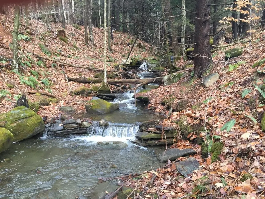 90 Reading Farms Road, Reading, VT 05062 - #1