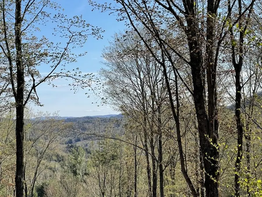 90 Reading Farms Road, Reading, VT 05062 - #2