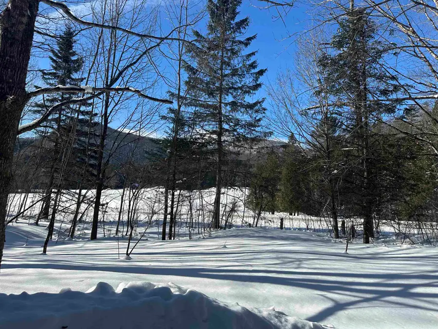 9 Dry Pond Road, Glover, VT 05839 - #3