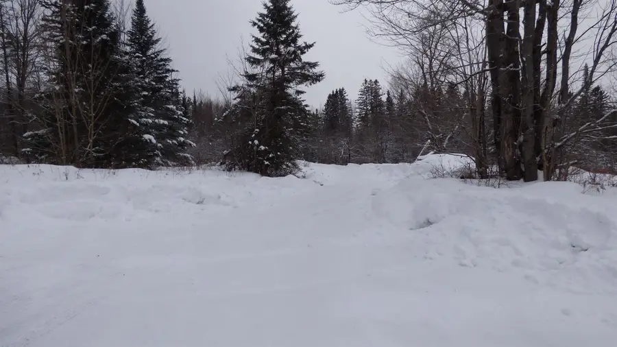 Spar Hawk Road, Wheelock, VT 05851 - Image #2