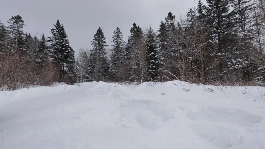 Spar Hawk Road, Wheelock, VT 05851 - Image #3