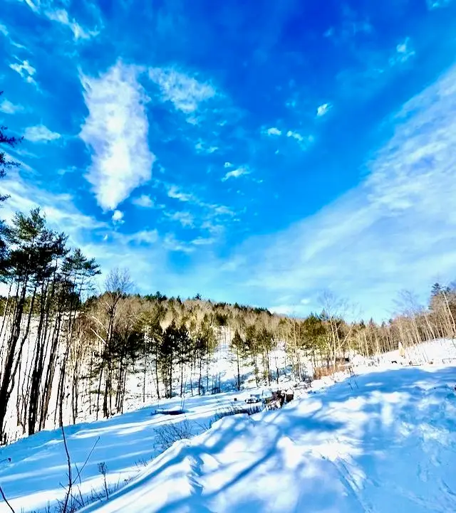 266 Tory Hill Road, Langdon, NH 03602 - #2