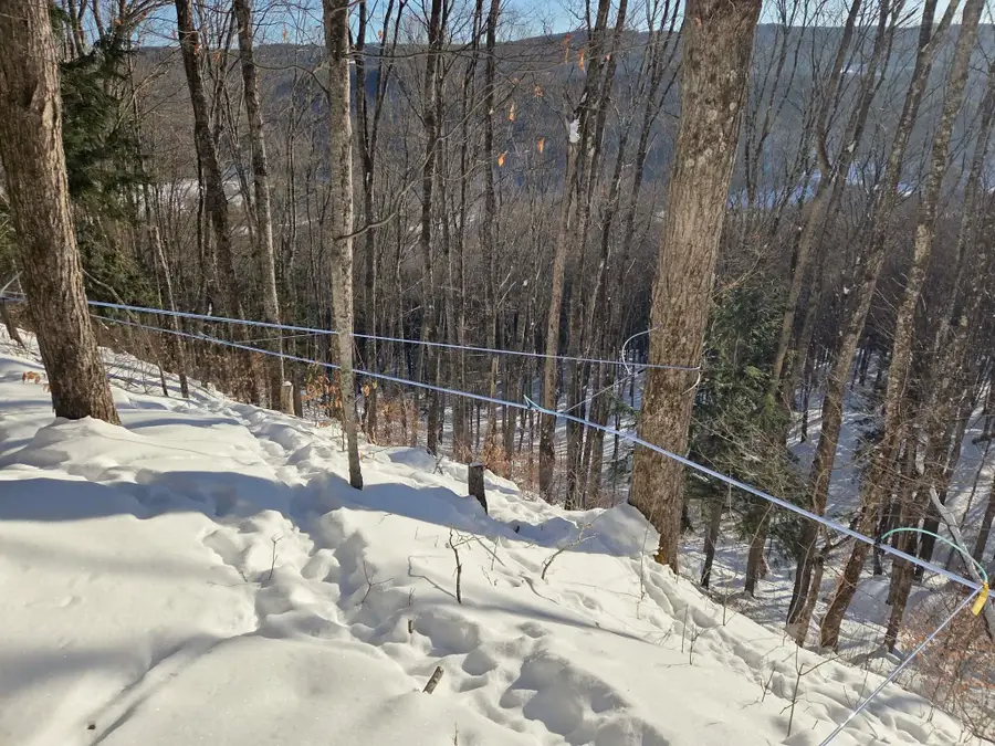 0 Route 66, Randolph, VT 05060 - #3