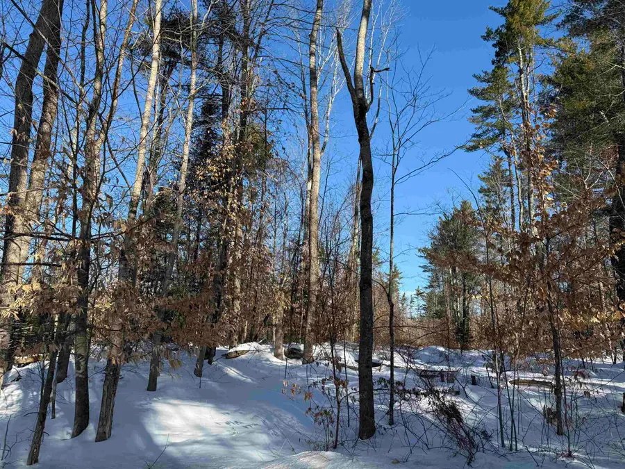 00 Hobbs Road, Effingham, NH 03882 - #2