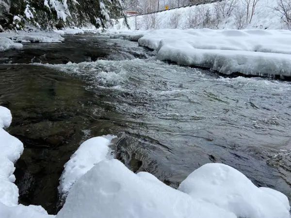 0 Fall Brook Road #5, Wheelock, VT 05851-000