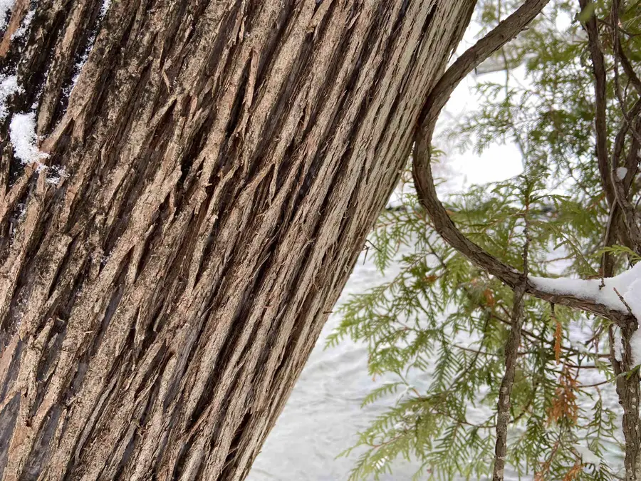 0 Fall Brook Road #5, Wheelock, VT 05851-000 - #2