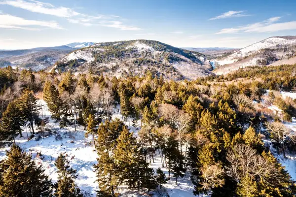 00 Turkey Mountain Road, Jamaica, VT 05343