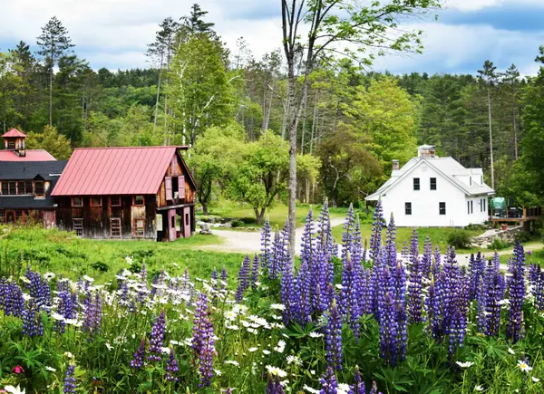 4669 Vermont Rte 100 Route, Londonderry, VT 05148