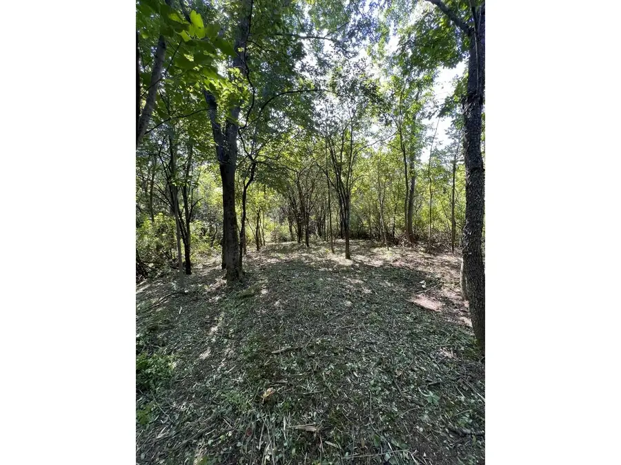 0 Hemenway Road, Bridport, VT 05753 - #2