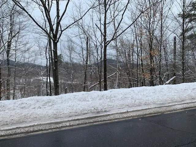 Lot 4-28 & 4-32 2nd NH Turnpike, Hillsborough, NH 03244 - #2