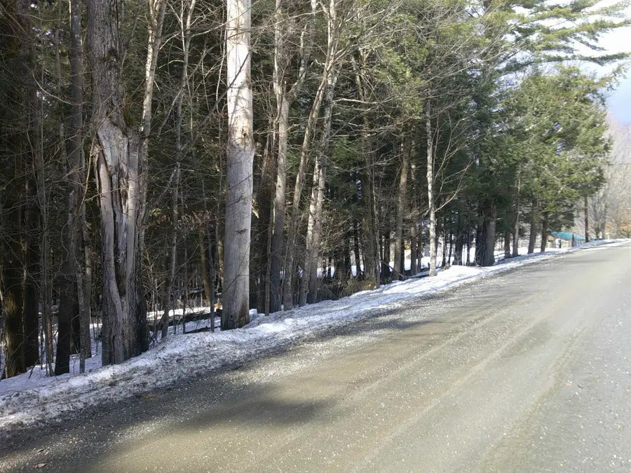 0 Plot Road #2, Johnson, VT 05656 - #3