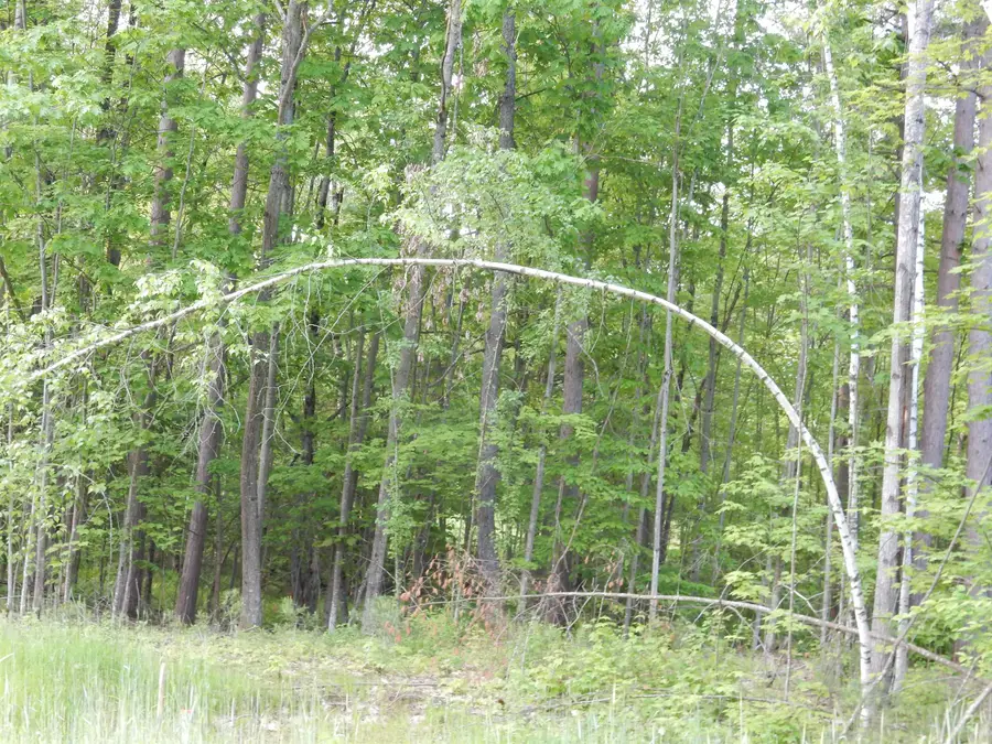 00 Pine Street #36, Newport, VT 05855 - #3